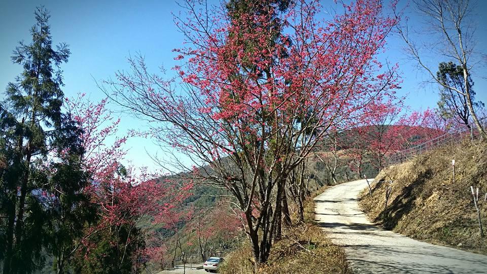 Appartamento The Fairy Land - Lala Mountain Fuxing  Esterno foto